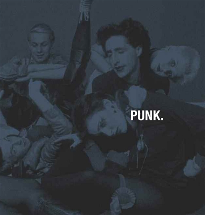 Couverture de : Punk : hors limites