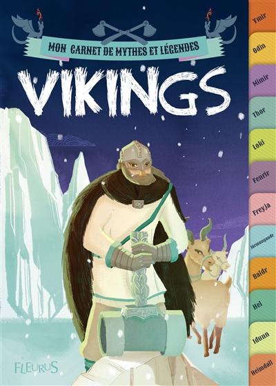 Couverture de : Vikings
