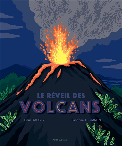Couverture de : Le  réveil des volcans