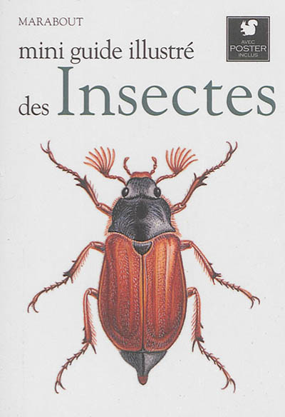 Couverture de : Le petit guide Marabout des insectes