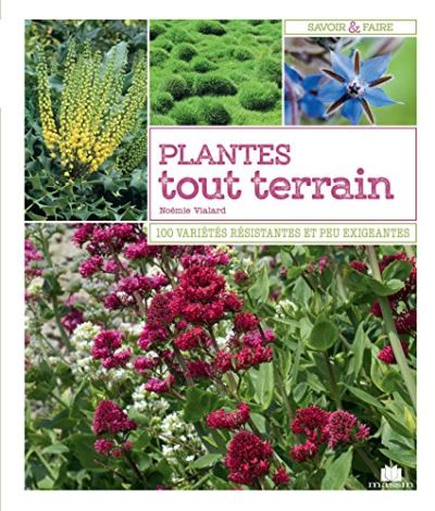 Couverture de : Plantes tout terrain : 100 variétés résistantes et peu exigeantes