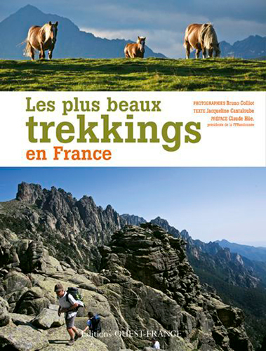 Couverture de : Les plus beaux trekkings en France