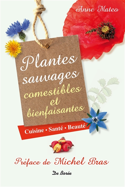 Couverture de : Plantes sauvages comestibles et bienfaisantes : cuisine, santé, beauté