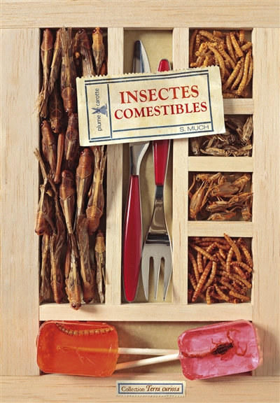 Couverture de : Insectes comestibles